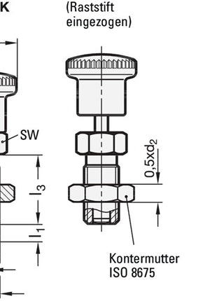 GANTER Rastbolzen GN 817 d1 6 mm d2 M 12 x 1,5 mm l1 6 mm ( 4601001424 )