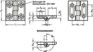 Bisagra GANTER GN 237 altura 60 mm ancho 60 mm (4601002083)