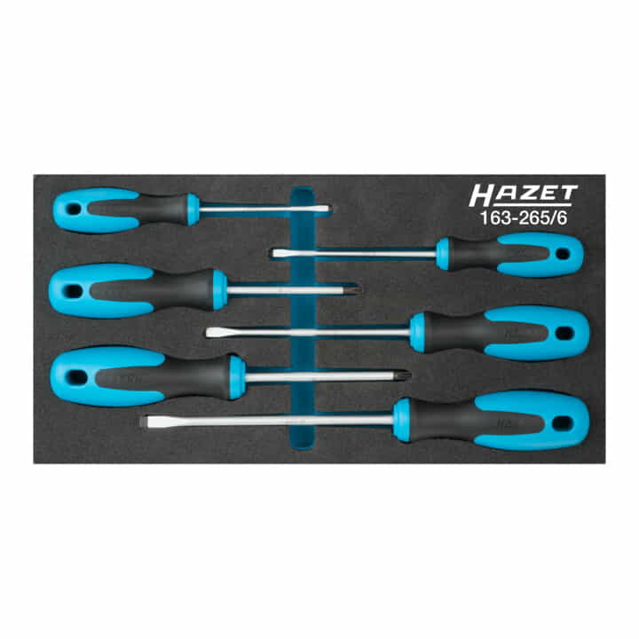 HAZET module d'outils 163-265/6 6 pièces (4000871196)