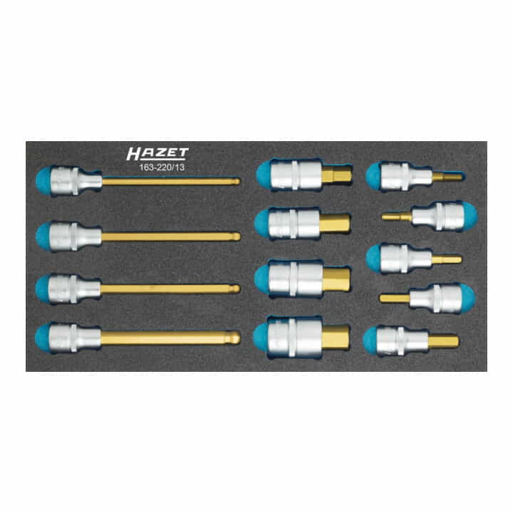 HAZET module d'outils 163-220/13 13 pièces (4000871198)