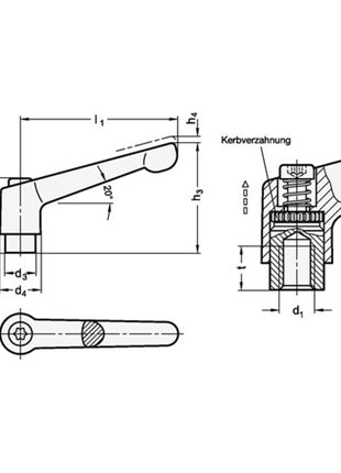 Levier de serrage réglable GANTER GN 300 d1 M 12 mm (4601000488)