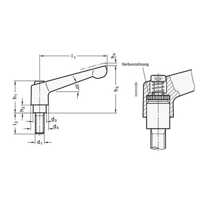 GANTER Verstellbarer Klemmhebel GN 300 d1 M 10 mm ( 4601000578 )