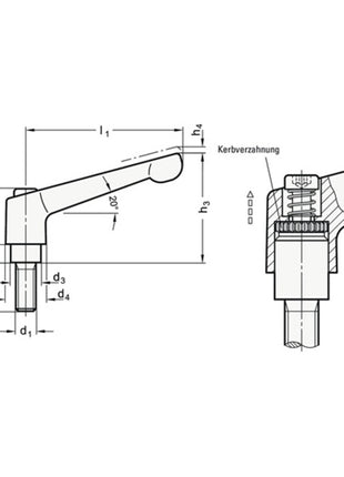 Levier de serrage réglable GANTER GN 300 d1 M 10 mm (4601000581)