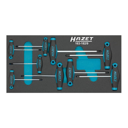 HAZET module d'outils 163-182/9 9 pièces (8000465896)