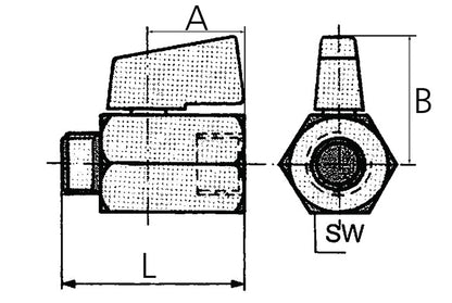 RIEGLER Mini-Kugelhahn  13,16 mm G 1/4 ″ ( 4163000271 )