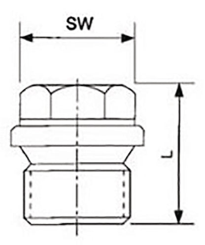 Bouchon fileté Springer DIN 910 ISO 228-1 (4000000269) NPS=1/2″ L 26 mm