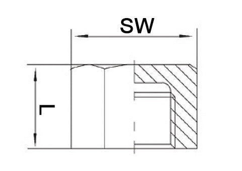 Springer Kappe EN 10226-1 ( 4000000280 ) NPS=1 ″ L 22 mm