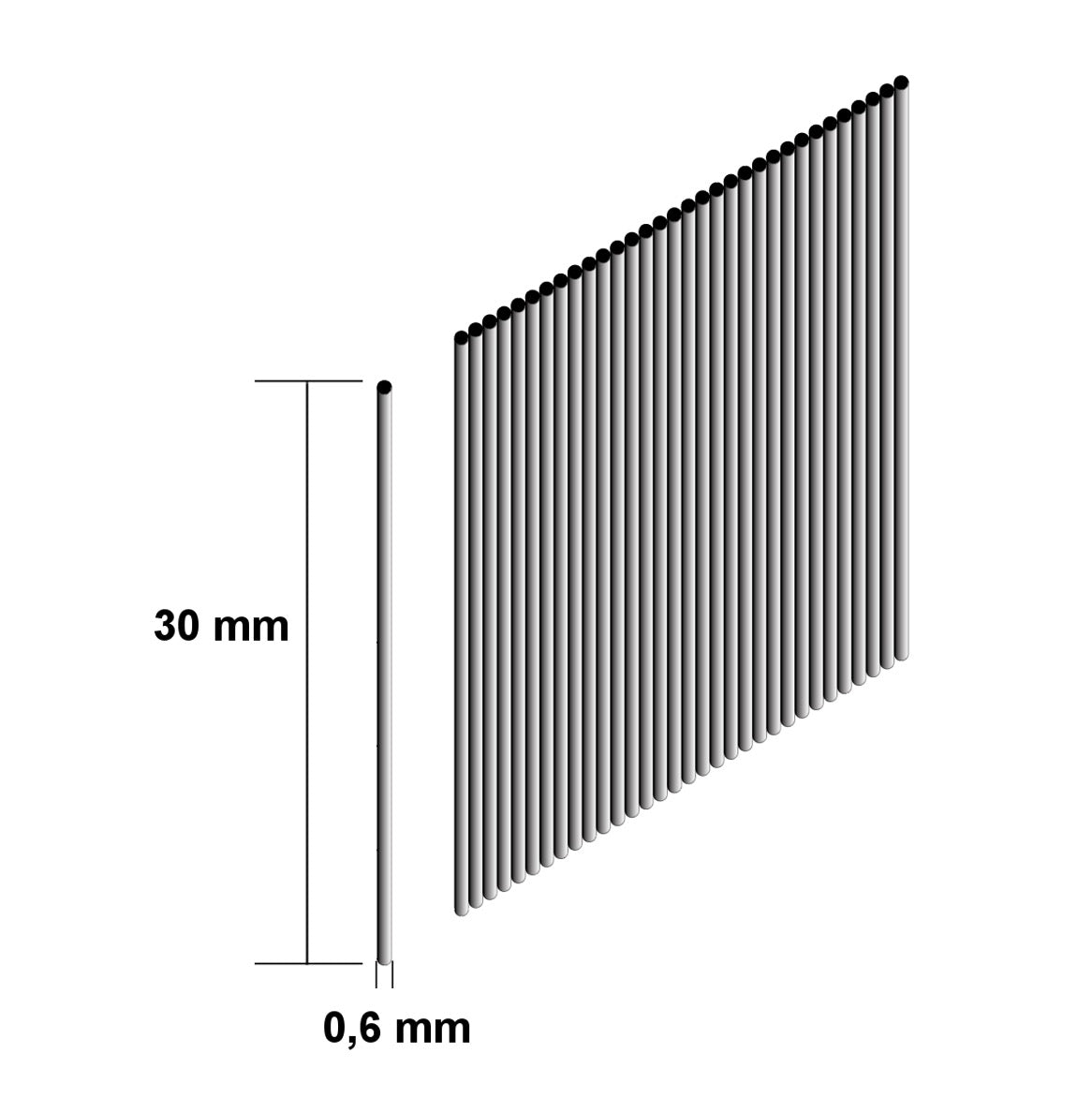 Makita Stifte Pins 30 x 0,6 mm 10000 Stück ( F-31841 ) für Akku Pintacker DPT351 / DPT353 - Toolbrothers