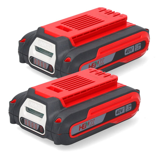 Jeu de batteries Henx 2x batterie Li-Ion 40 V 2,5 Ah (2x H36B25) avec affichage LED