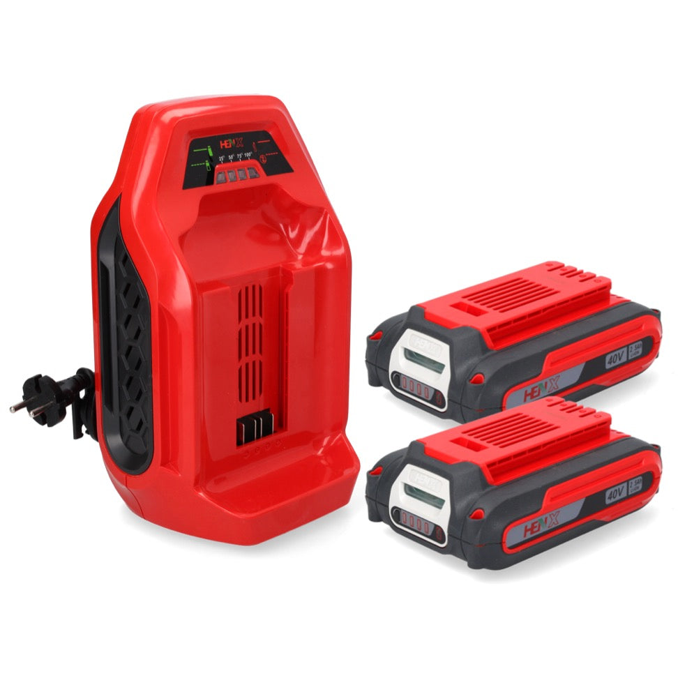 Kit de démarrage de batterie Henx 2x batterie Li-Ion 40 V 2,5 Ah (2x H36B25) + chargeur rapide 40 V (H36KC400)