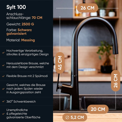 Rosenhahn & Söhne Sylt 100 Küchenarmatur mit Brause- 360° drehbarer Wasserhahn Küche - Armatur Küche [schwarz] - 2-fach verstellbare Spültischarmatur - Brause & Strahl - Anschlussschläuche - Toolbrothers