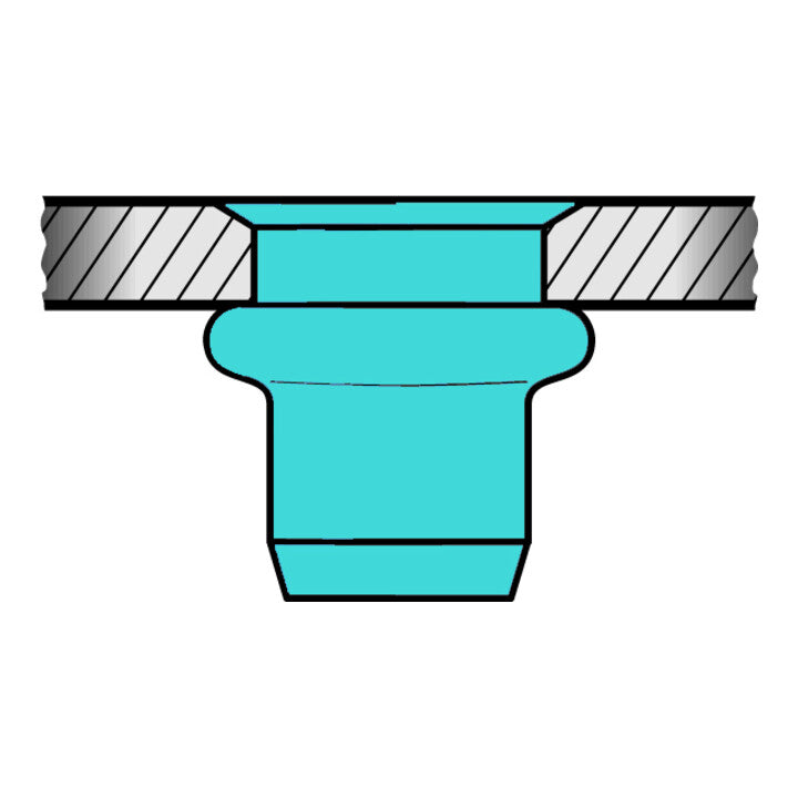 GESIPA Blindnietmutter Nietschaft d x l 7 x 12,5 mm M5 ( 4000813797 )